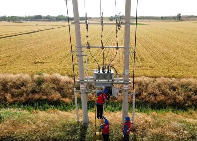 配電箱助力“電力?！报D農(nóng)民有了“電力?！碑a(chǎn)業(yè)發(fā)展質(zhì)效